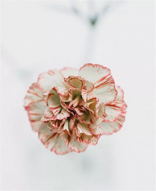 堵奶治好后如何预防再次堵奶,堵奶了怎么办