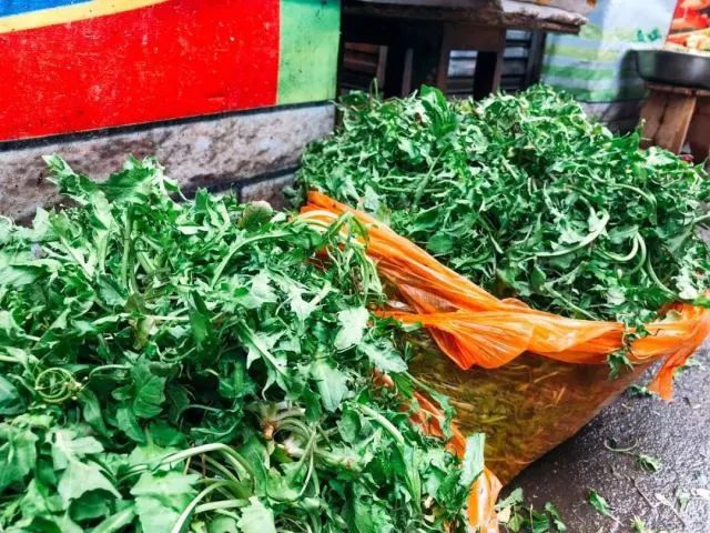 宿州野菜,挖野菜的视频火了