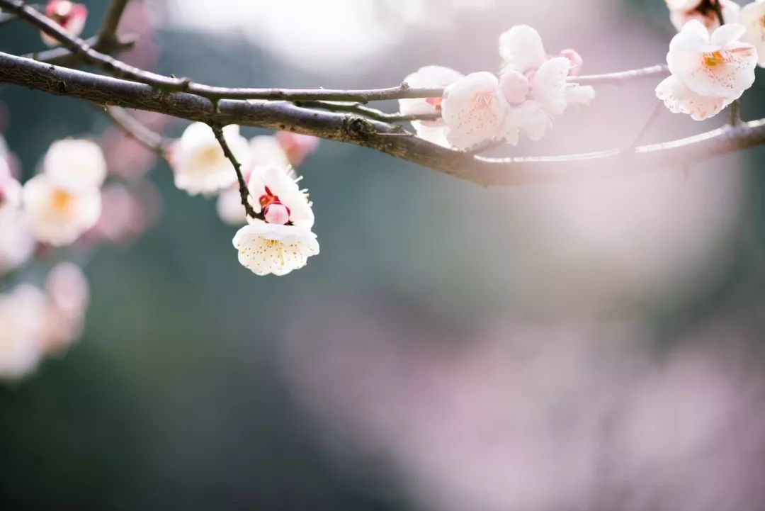 腾讯、联通、新东方都准备来华师“抢人”，本周就业讲座通知汇总，赶紧安排一下！