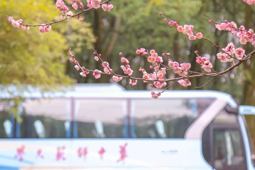 腾讯、联通、新东方都准备来华师“抢人”,本周就业讲座通知汇总,赶紧安排一下!