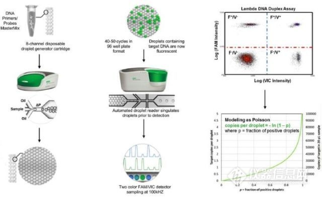 一文快速入门graphql,数字pcr原理图解
