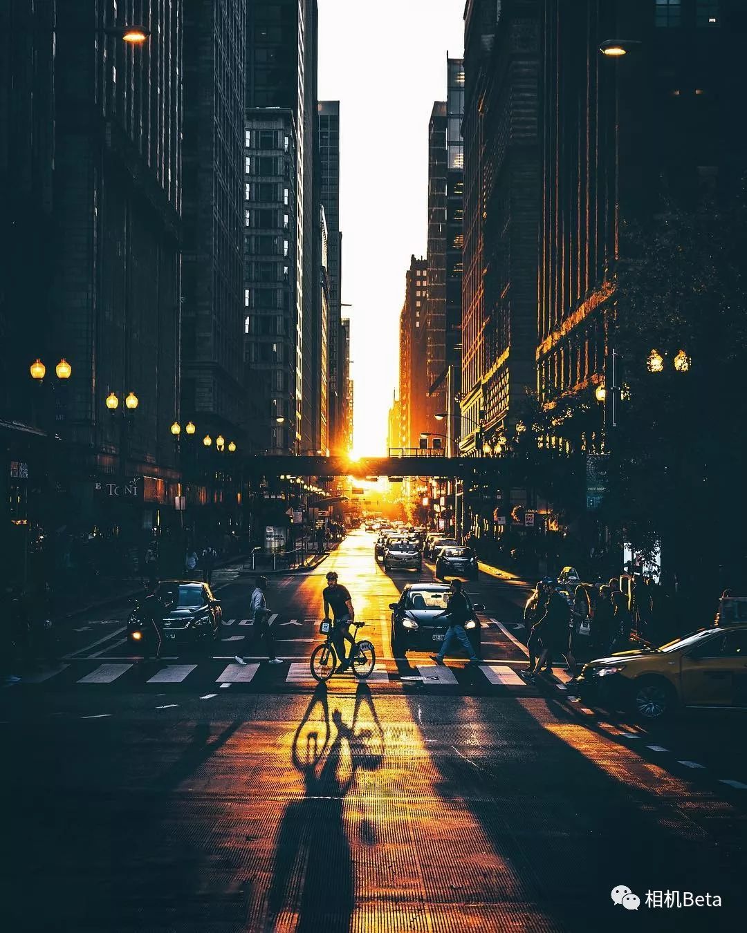 每周摄影作品欣赏：索尼家（第20190310期）