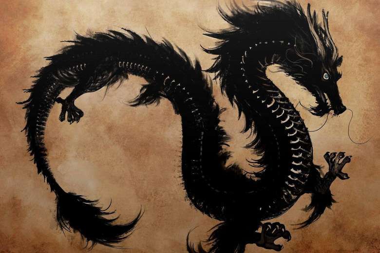 你看过《我是至尊》《飞剑问道》吗？这些中国网络小说收割了一波外国忠粉！|外媒说