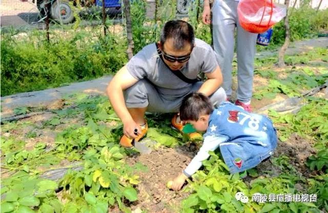 鏄ユ父鍗楅櫟寮嬫睙鍙ら晣瀵诲懗涔嬫梾,鑺滄箹鍗楅櫟鏄ユ父鏀荤暐