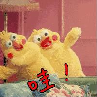 无锡市体育馆开放时间,无锡新体育馆收费标准