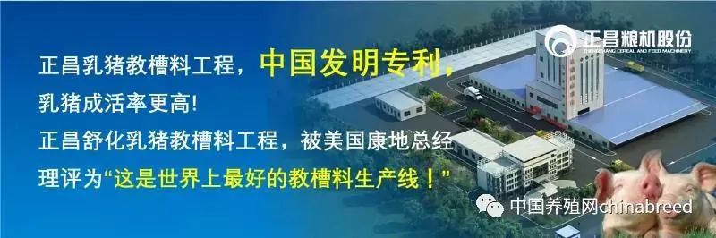 正邦农牧猪场合作,正邦农牧养猪
