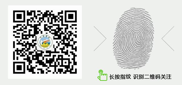 2021年青海省事业单位招聘职位表,2023年青海省事业单位招聘职位表