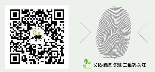 牛品种最好是哪个品种,适合生产雪花牛肉的中国牛品种