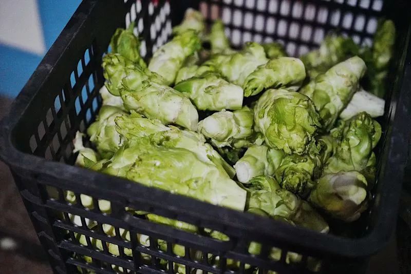 一向以“好吃”出名的凯悦，这次带我把人间三月的春天都吃进了嘴里