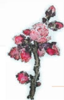 鎴愰兘澶╁簻鏂囧寲娣卞害瑙ｆ瀽,瀹嬭瘝閲岀殑鎴愰兘