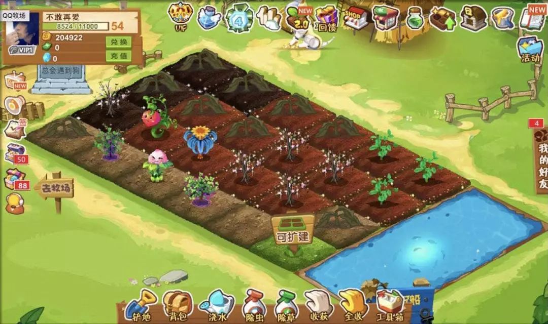 qq靓号怎么注销,qq普通靓号怎么注销