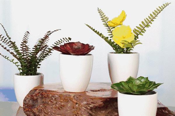 美妆大牌昌吉限量发售：688元/套|手慢无！兰芝|欧莱雅|雅漾|自然堂