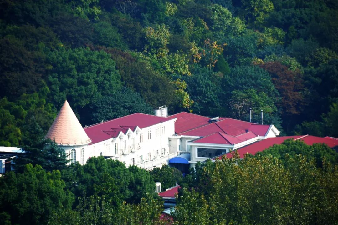 上海免费景点排行榜前十名,上海闵行区免费景点大全