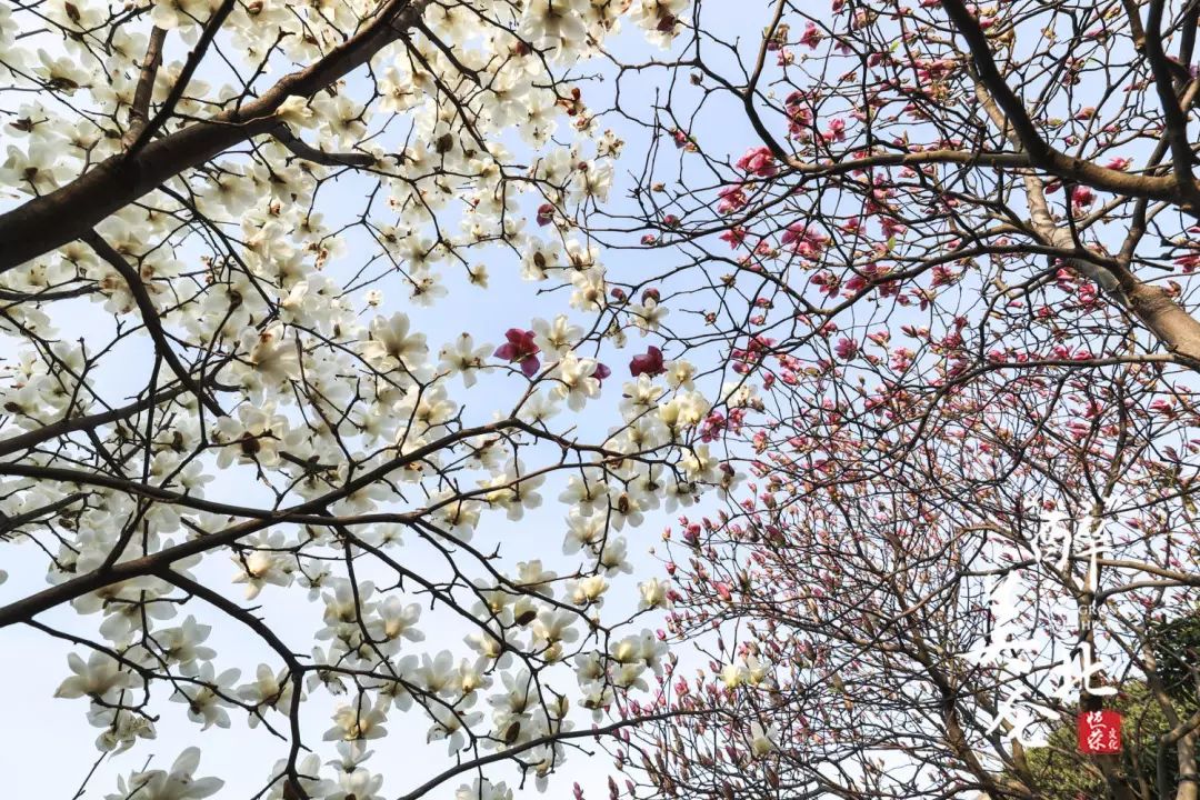 北仑清明游玩,下周北仑旅游景点