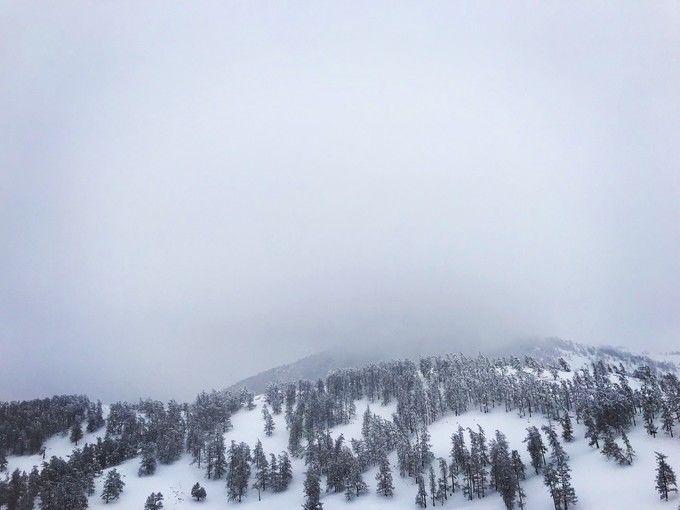 喀纳斯秋雪美景,喀纳斯雪国