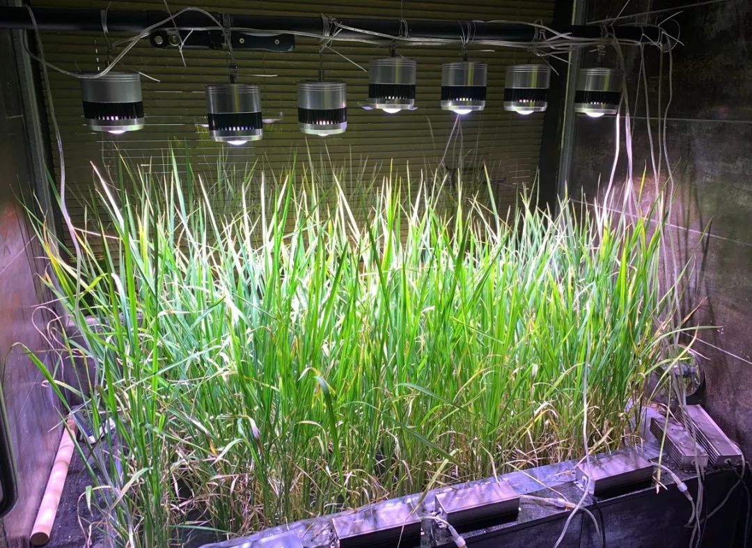 这大概是全世界最无聊的人了