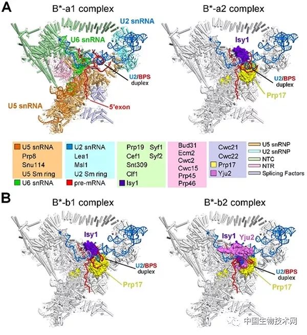 施一公团队研究仪器,施一公团队最新研究成果