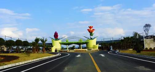 普定发生的事最新消息,普定最新消息