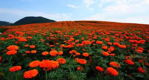 普定发生的事最新消息,普定最新消息