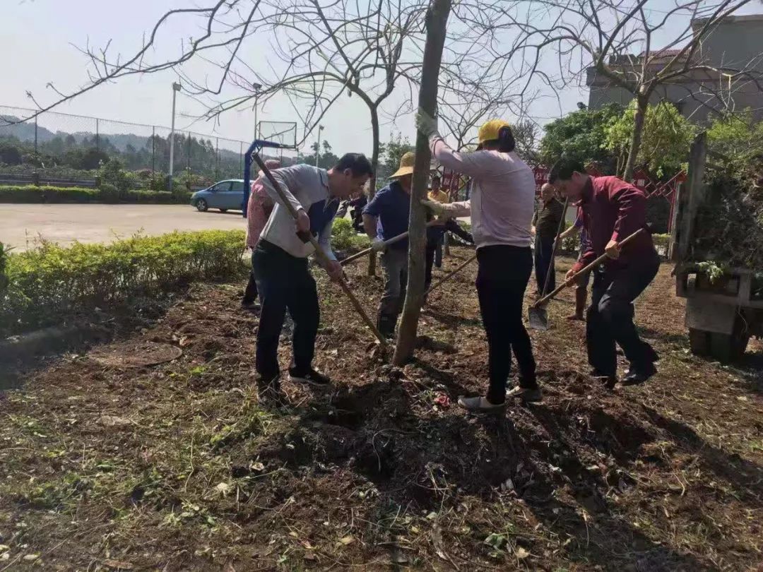 齐心换得满村芳！我区永宁街干群共建和谐美丽家园