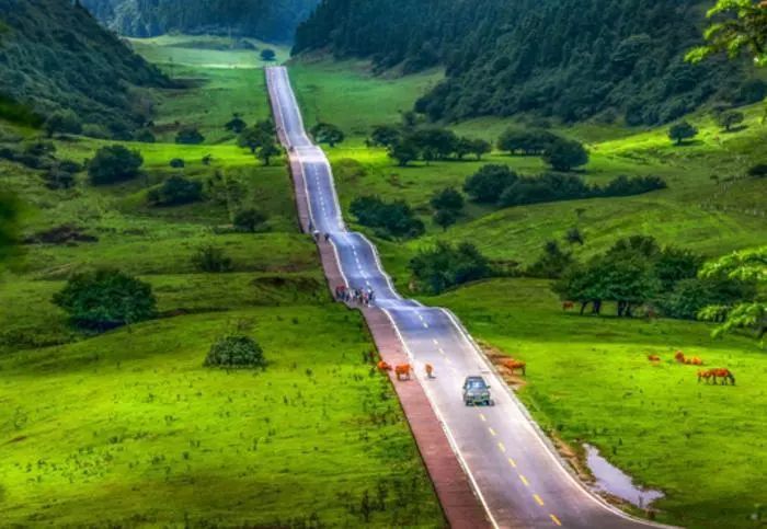 狗狗爱上足球每天“踢”两小时丨百万年薪揽才绍兴还有大招