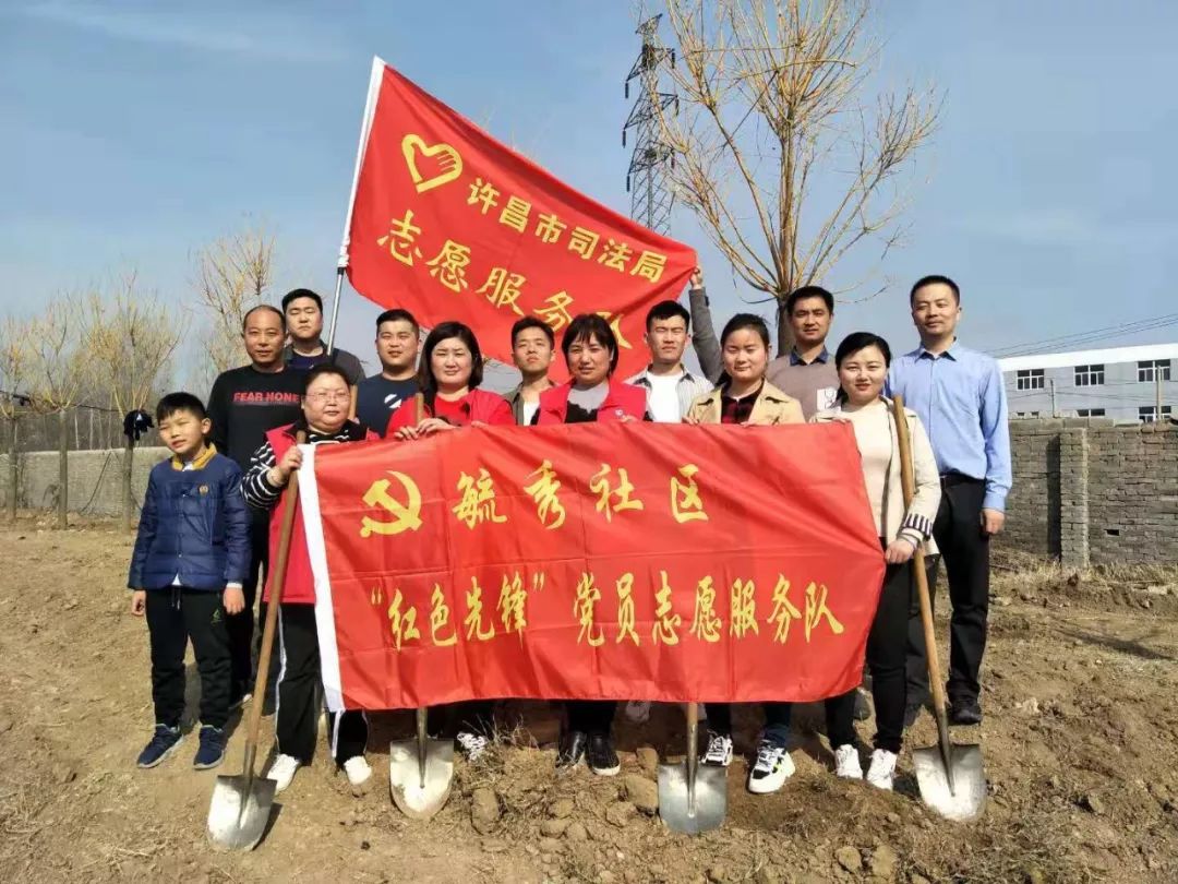 阳春三月暖植树绿化正当时,阳春三月草长莺飞栽几株树