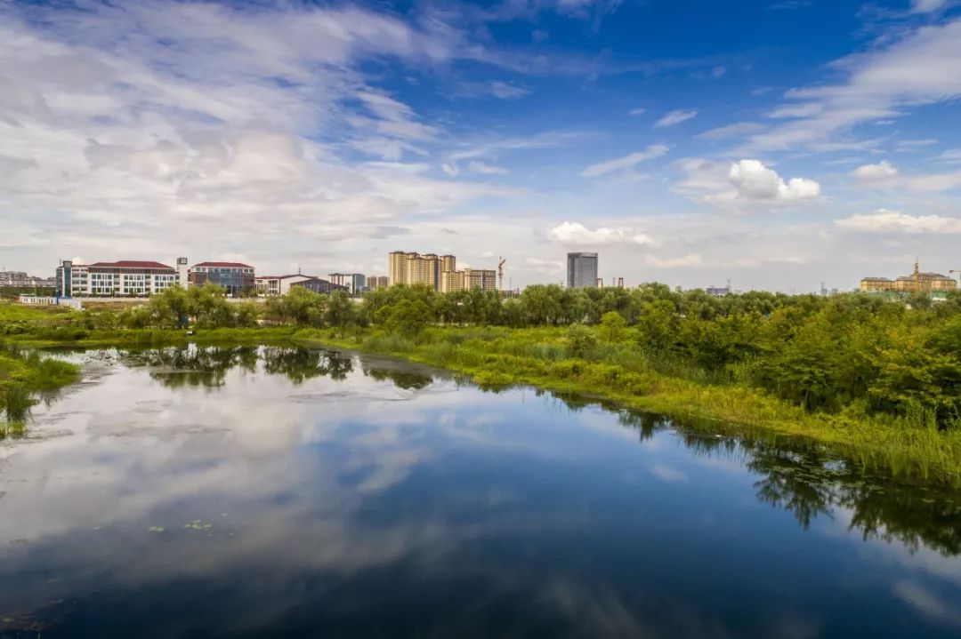 怎样加快绿色转型,如何加快绿色转型升级