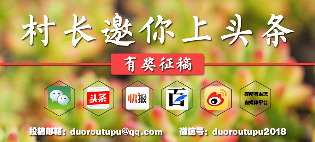 十二卷的养护注意事项,十二卷夏季如何养护