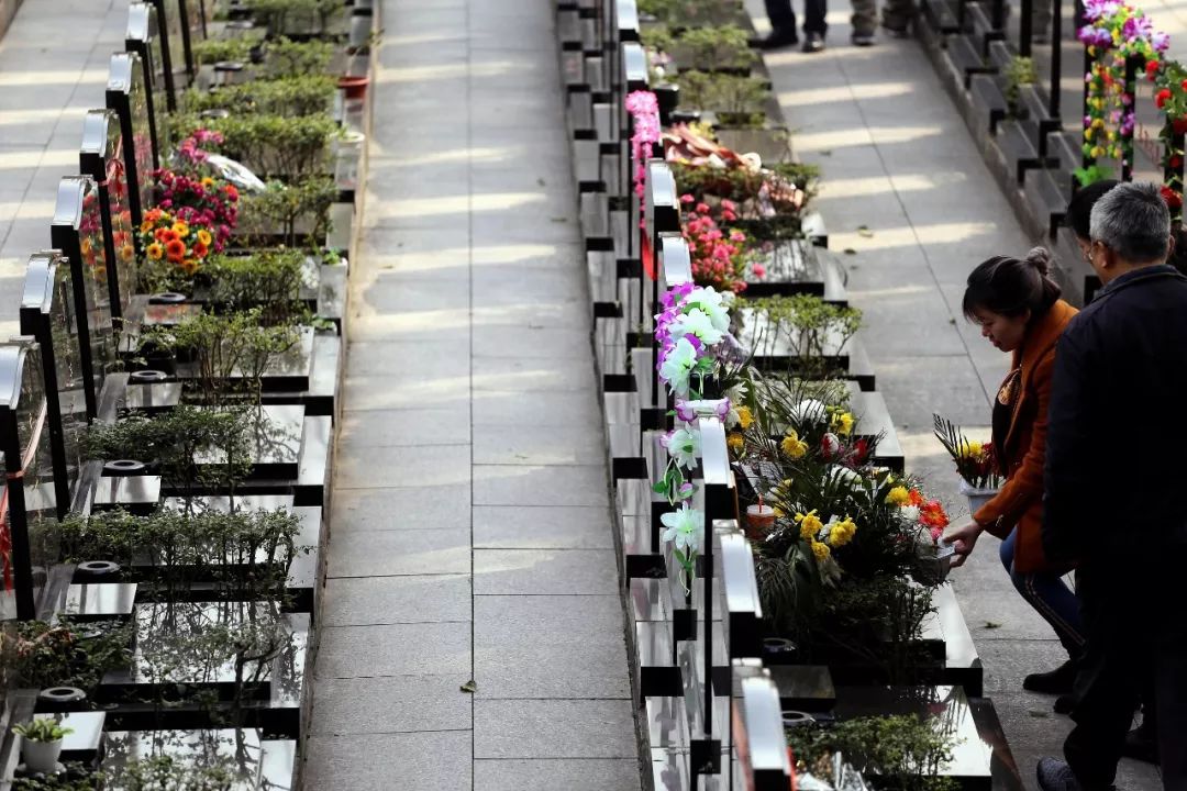 清明祭祀别踩这些法律雷区,清明节禁燃祭祀用品