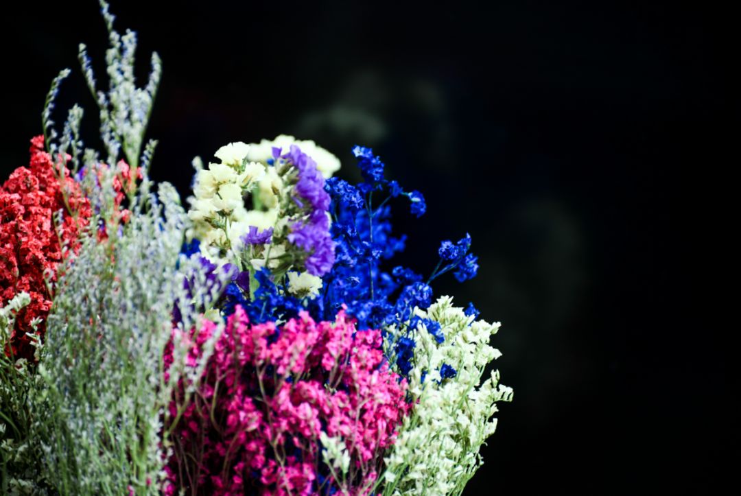 西安最大花卉交易市场,西安朱宏路丰产路巨坤花卉市场