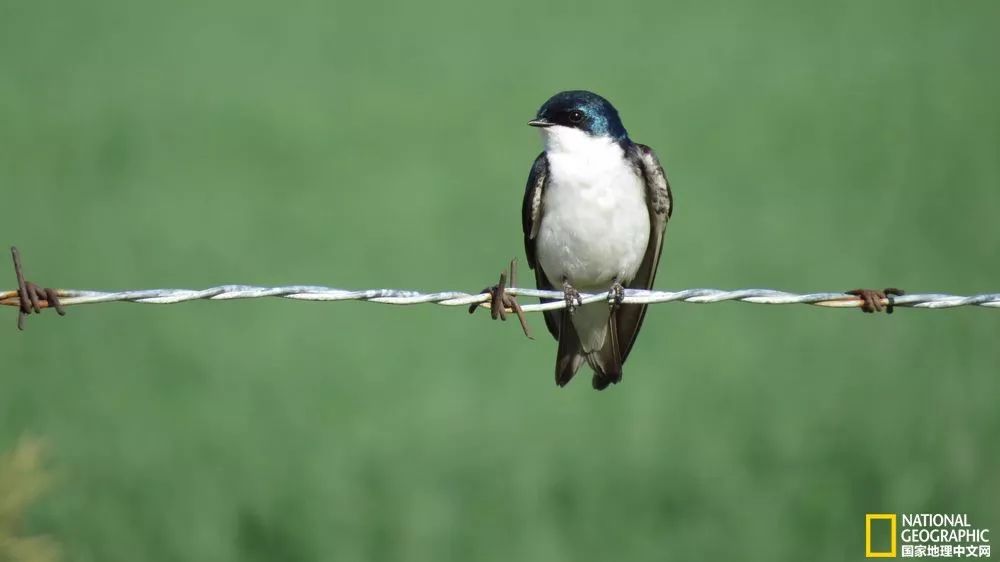 春风满眼尽是春色,纵目天涯浅黛春山的意思是什么