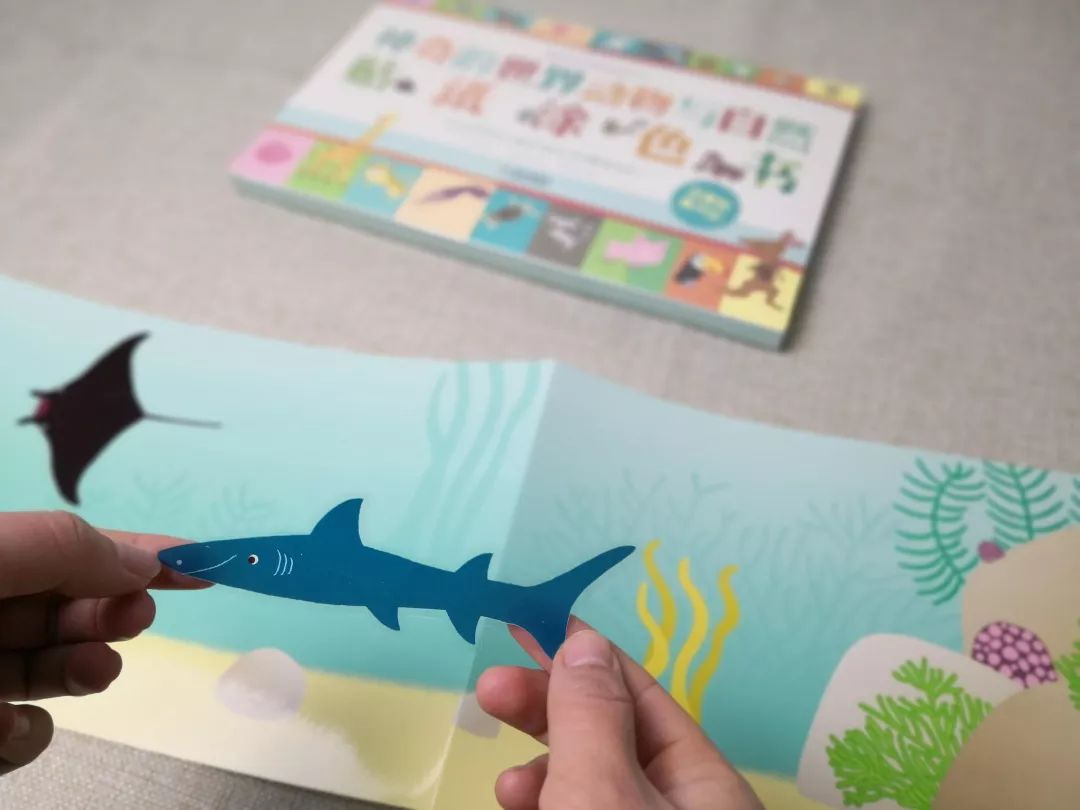 团|这套贴纸涂色书,我专程从中国带到了英国!