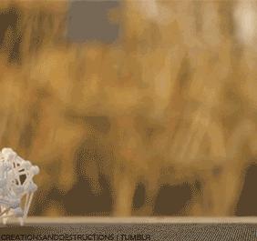 海边，他养了一群吃风的怪兽