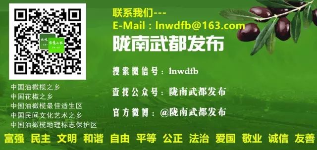 我的家乡武都怎么介绍,介绍我的家乡陇南武都