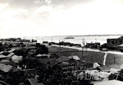 特约记者行最新视频,特约记者行俯瞰荆州醉美油菜花海