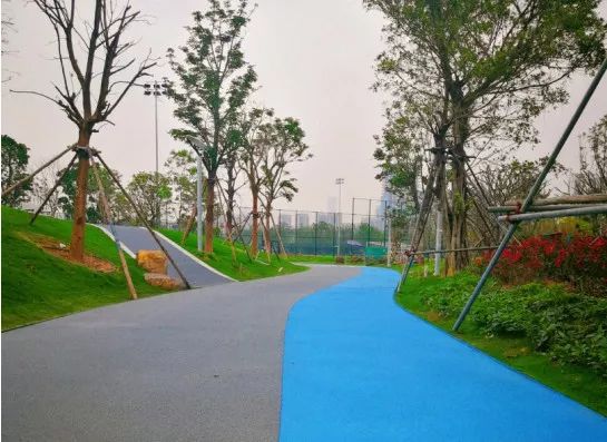 南山人运动又多了个好去处!前海运动公园开启试运营啦~