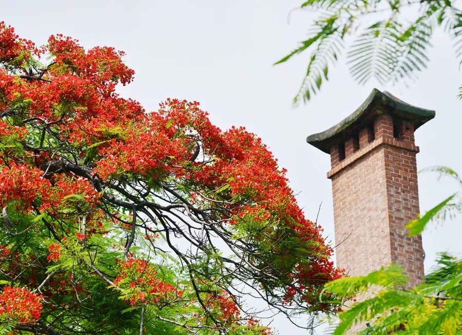 华南农业大学研究生招生信息,华南农业大学2020年本科招生计划