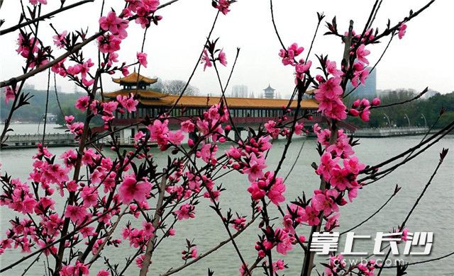 长沙地铁儿童游玩,长沙儿童去哪玩比较合适