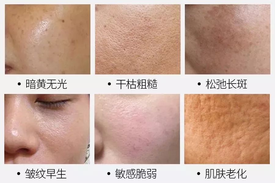 又一国产品牌崛起,又一个需要被拯救的国货品牌