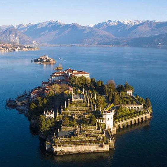 omg买它买它什么梗,omg买它原版