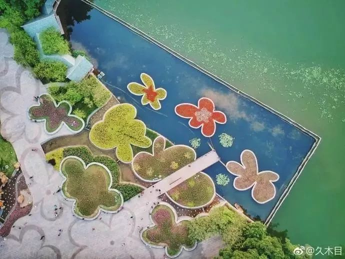 广州适合春游的免费景点,春游广州最适合去的地方