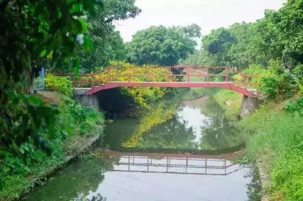 广州适合春游的免费景点,春游广州最适合去的地方