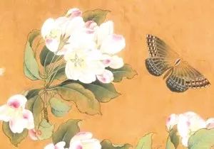 苏东坡关于成都的诗词,苏东坡描写四川的诗词