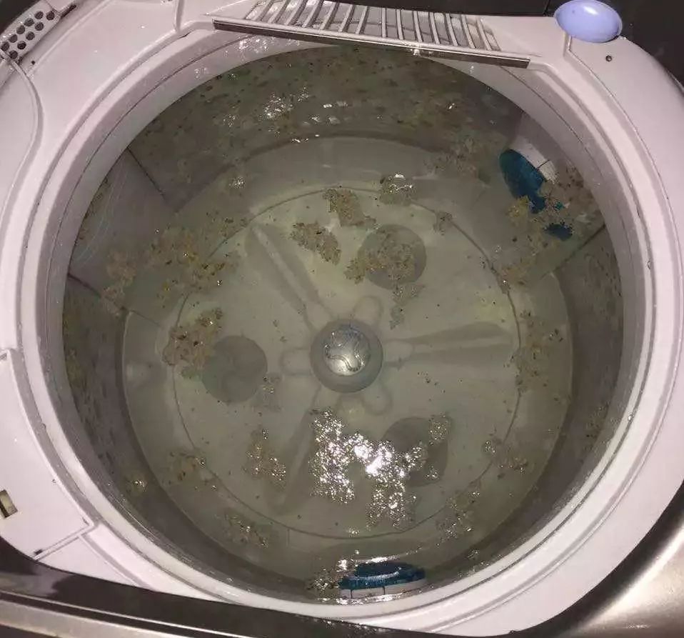 难熬的日子里幸好有你,难熬的日子有我陪伴