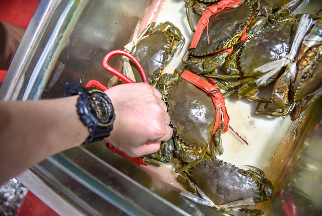 三亚博后村网红打卡地,三亚情侣打卡地推荐