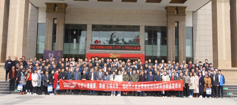 防赤霉病最好农药是哪一款,抗锈病抗赤霉病高产品种