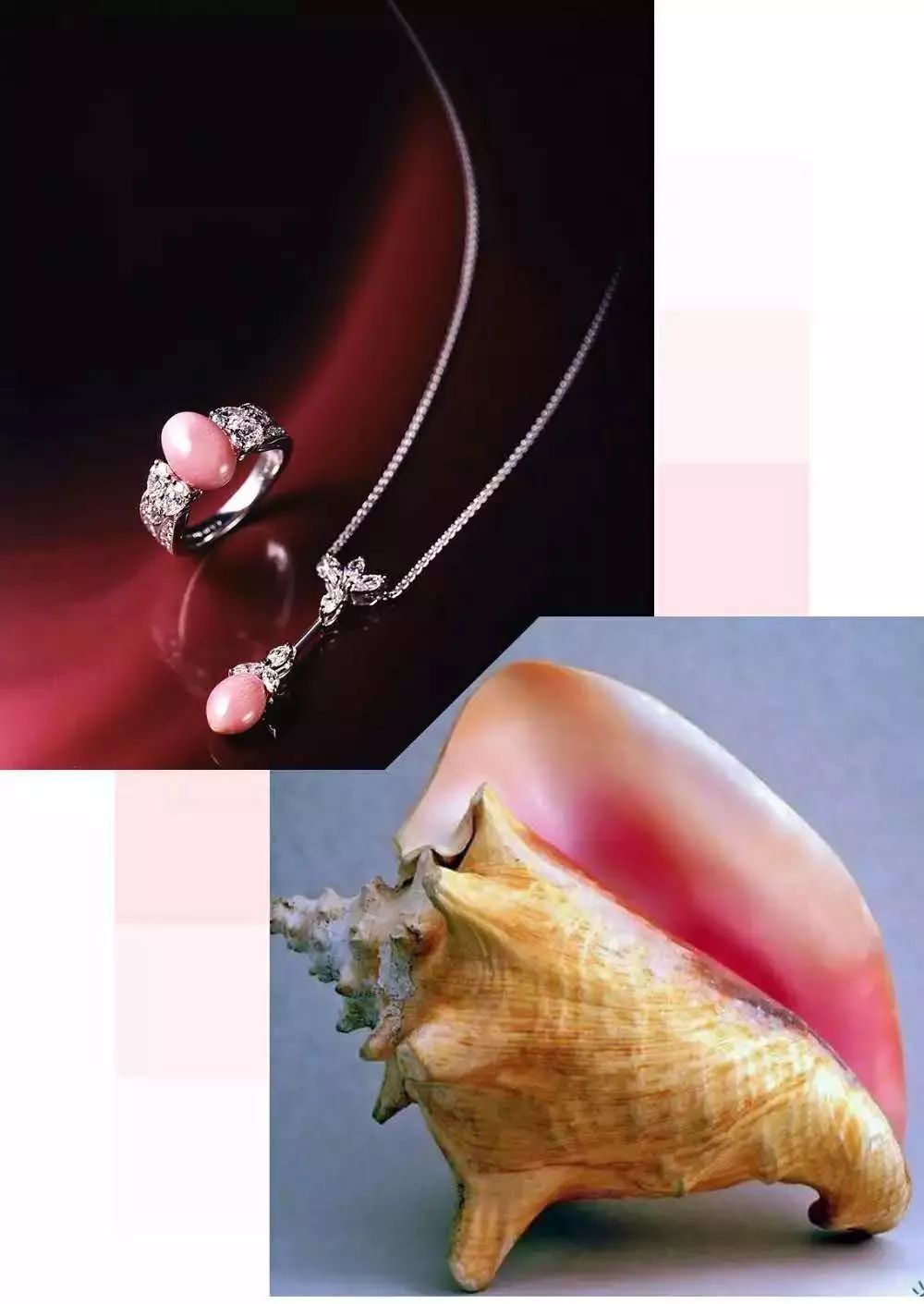 海螺珍珠饰品,海螺珠珠宝品牌