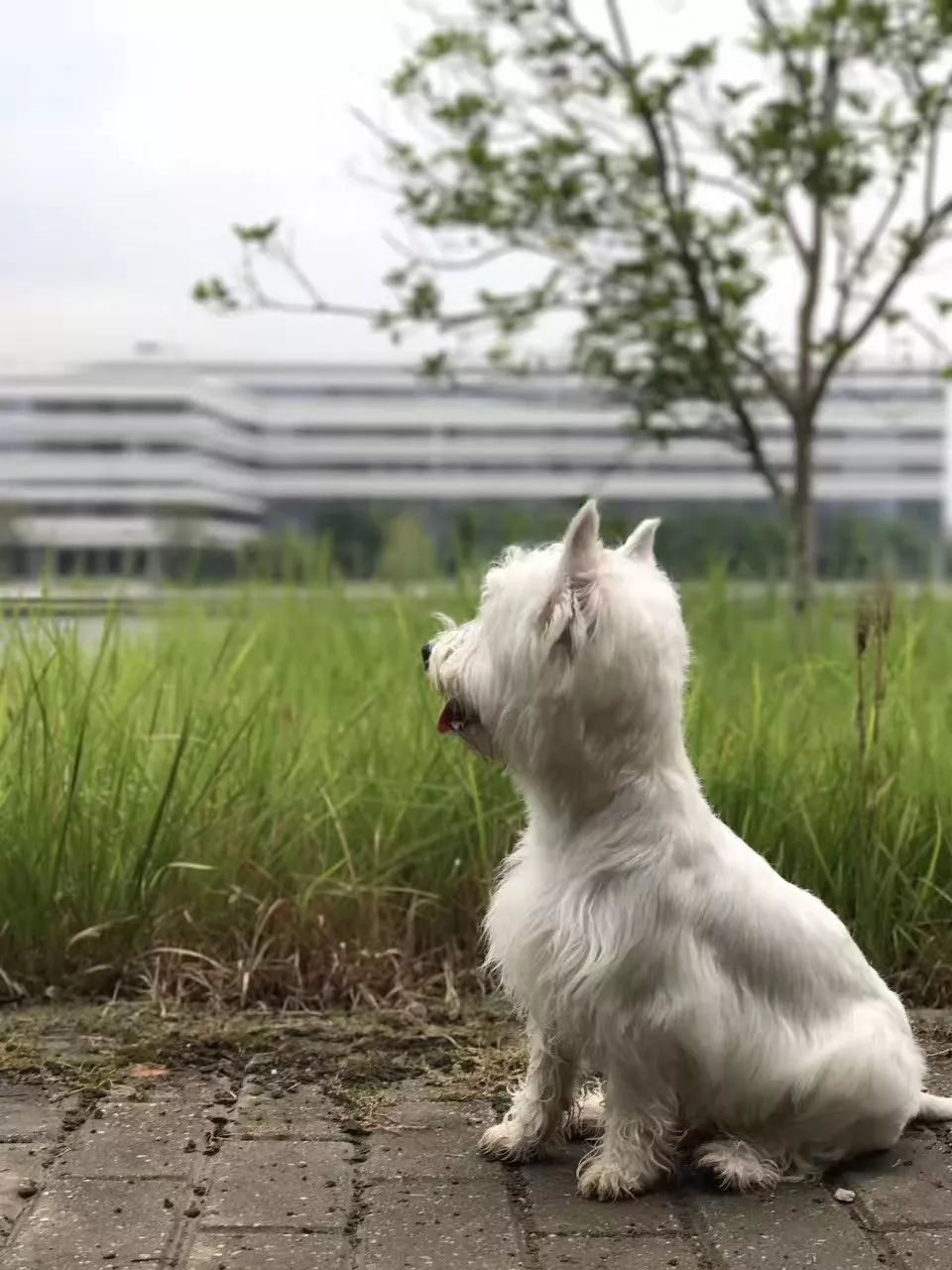 苏州适合周末度假的酒店,苏州度假酒店亲子游冬季