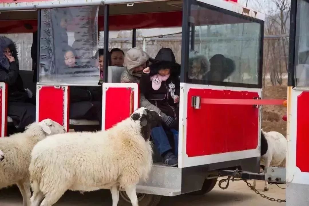 免票或半价！全国几百个景区集体降价，河南有这些…千万别错过！