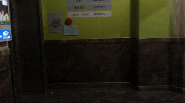 非常隐蔽的秘密基地藏在地板下,神秘的仓库到底隐藏着什么秘密